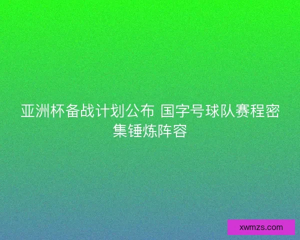 亚洲杯备战计划公布 国字号球队赛程密集锤炼阵容